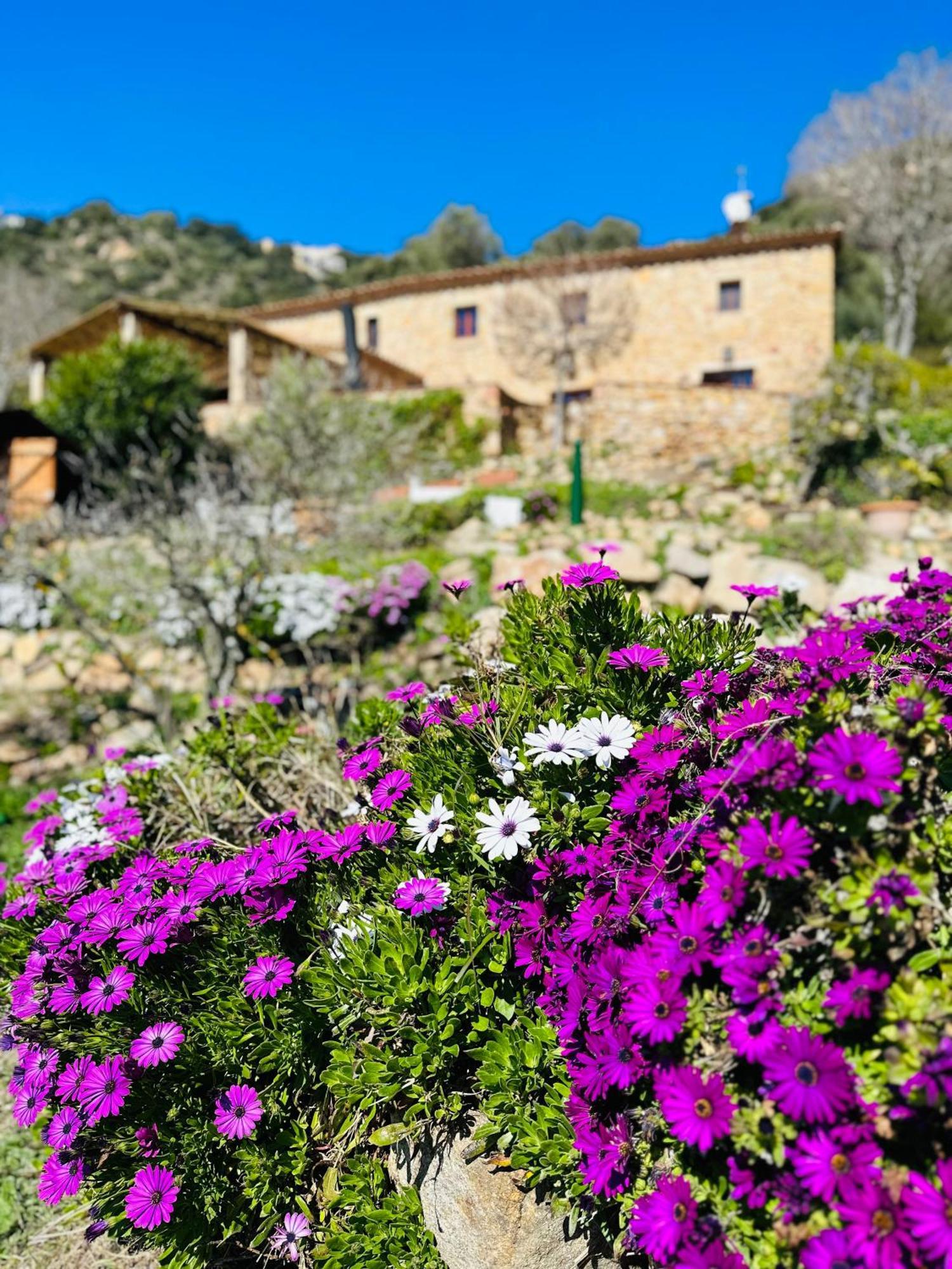 B&B La Vista Brava Castell-Platja d’Aro Exterior foto